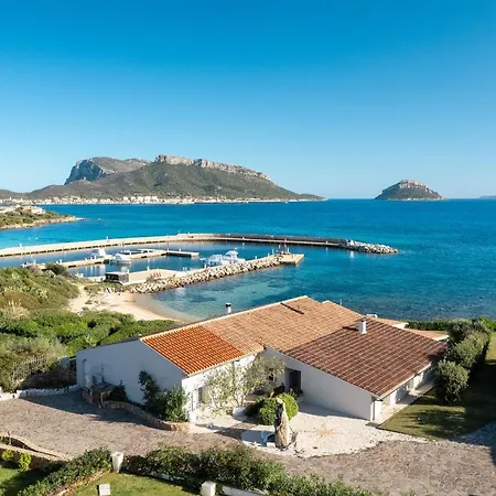 Corallo * Golfo Aranci